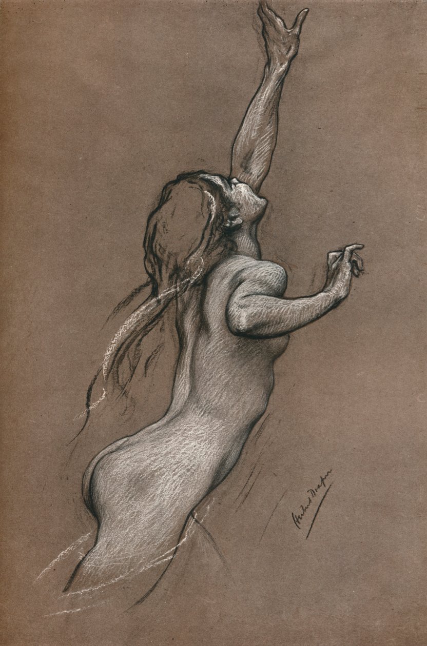 Estudo sobre peixes voadores, c1910 de Herbert James Draper