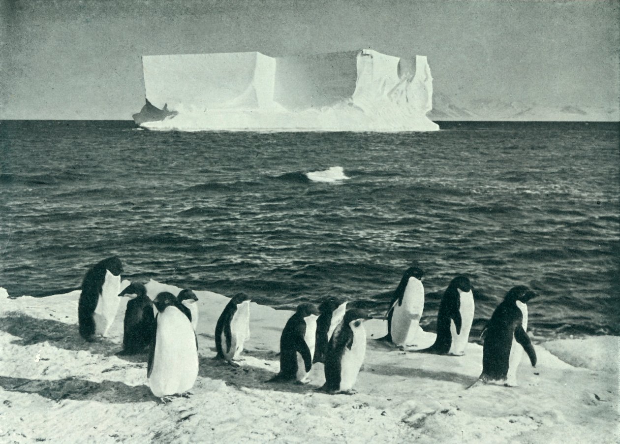 A Berg Drifting in McMurdo Sound, c19101913, 1913. de Herbert Ponting