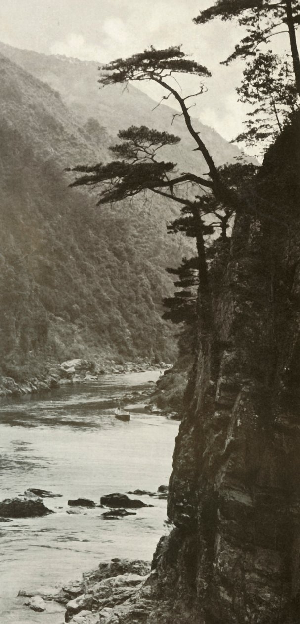 Um vale no Katsura-Gawa, 1910. de Herbert Ponting