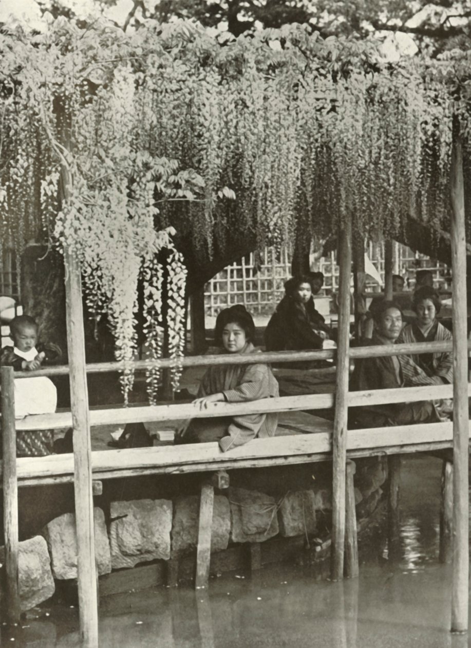 Um mandril de glicínias em Kameido, 1910. de Herbert Ponting