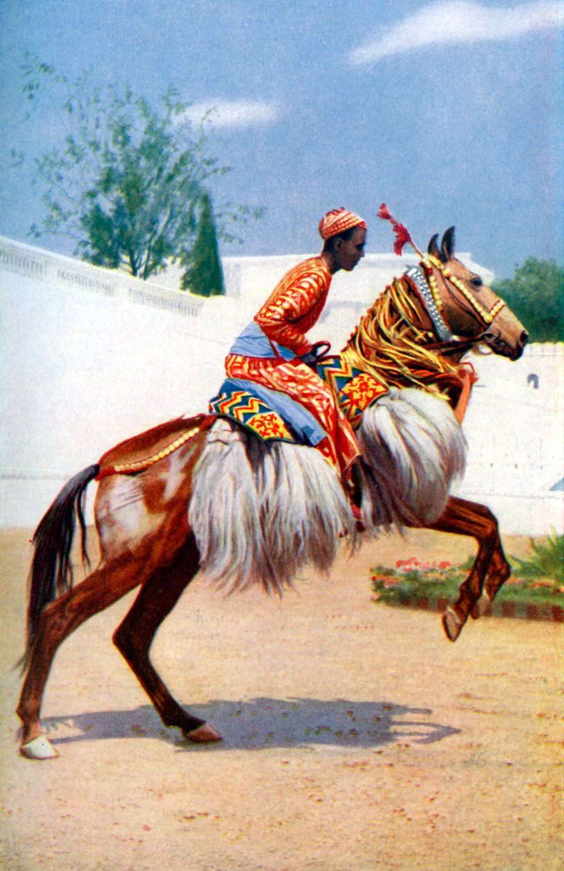 Um cavalo árabe que dança, Udaipur, Índia, 1922. de Herbert Ponting