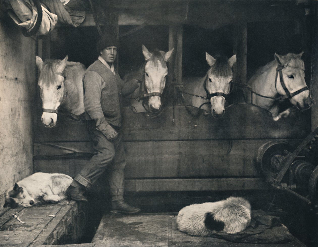 Capitão Oates, na Terra Nova com os Pôneis da Sibéria, c1911, 1914. de Herbert Ponting