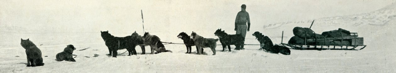 Cães com lojas prestes a deixar Hut Point, c1911, 1913 de Herbert Ponting