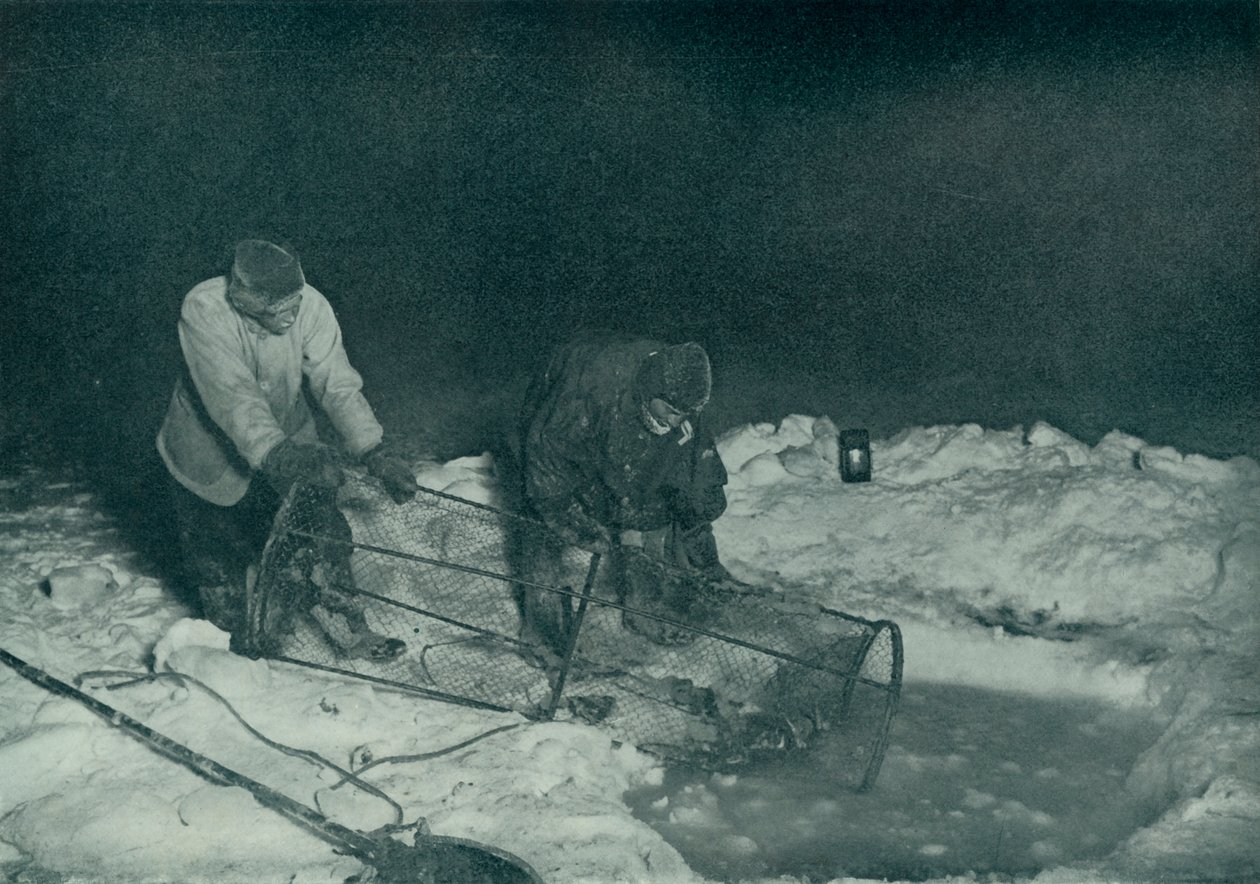 Dr. Atkinson e Clissold transportando a armadilha para peixes, 28 de maio de 1911, 1913 de Herbert Ponting