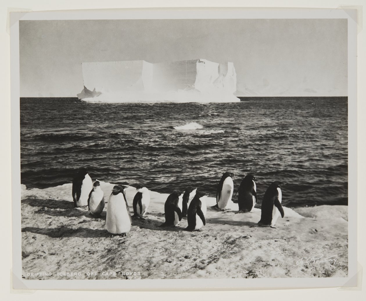 Iceberg à deriva em Cape Royds (impressão de brometo) de Herbert Ponting