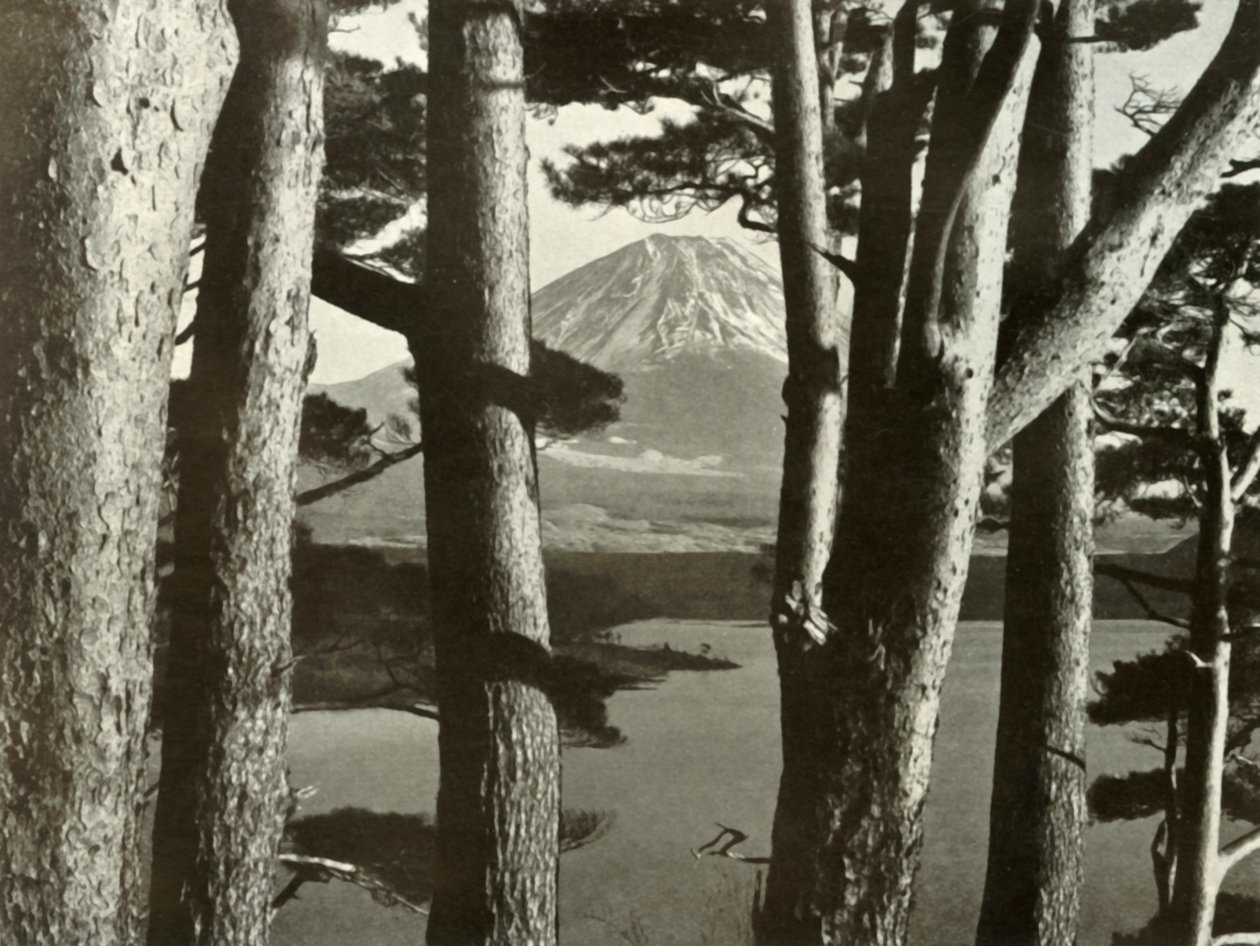 Fuji e os pinheiros, 1910. de Herbert Ponting