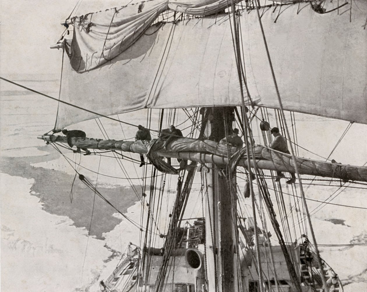 Vela enrolada no pacote, c19101913, 1913 de Herbert Ponting