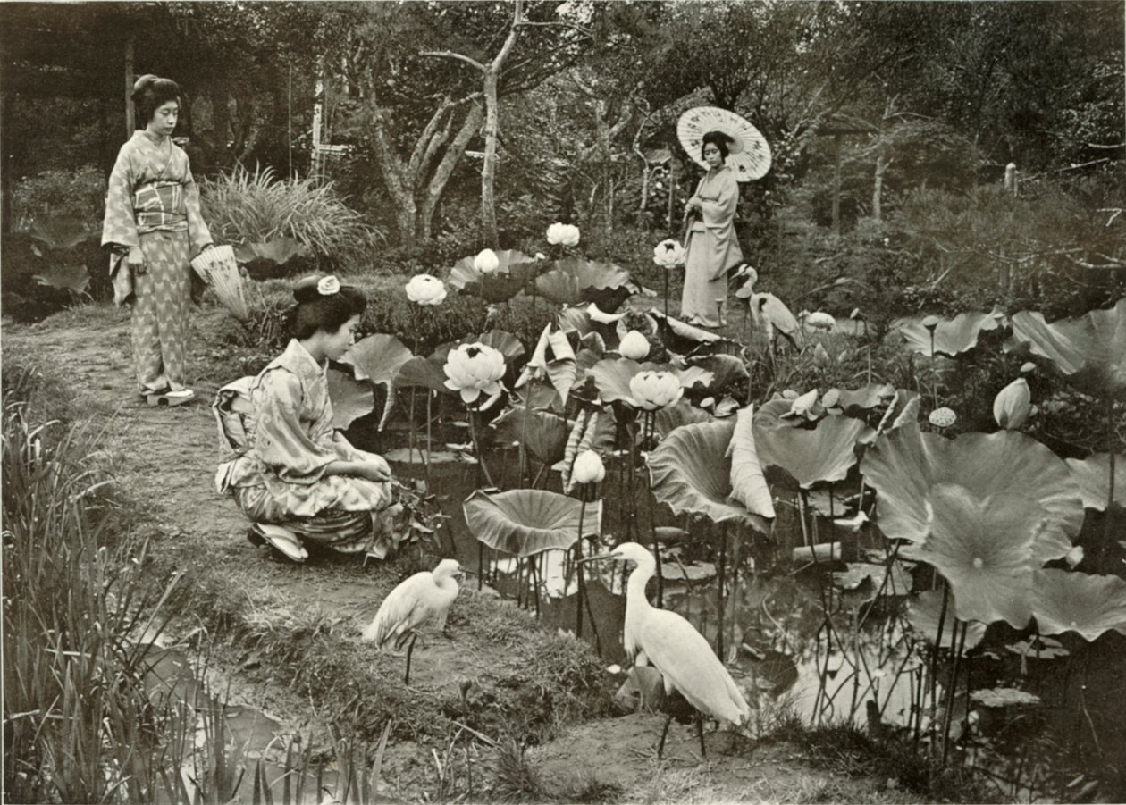 Em Lotus-Land, 1910. de Herbert Ponting