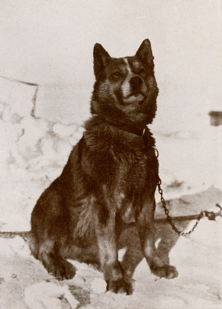 Krisravitsa, c19101913, 1913 de Herbert Ponting
