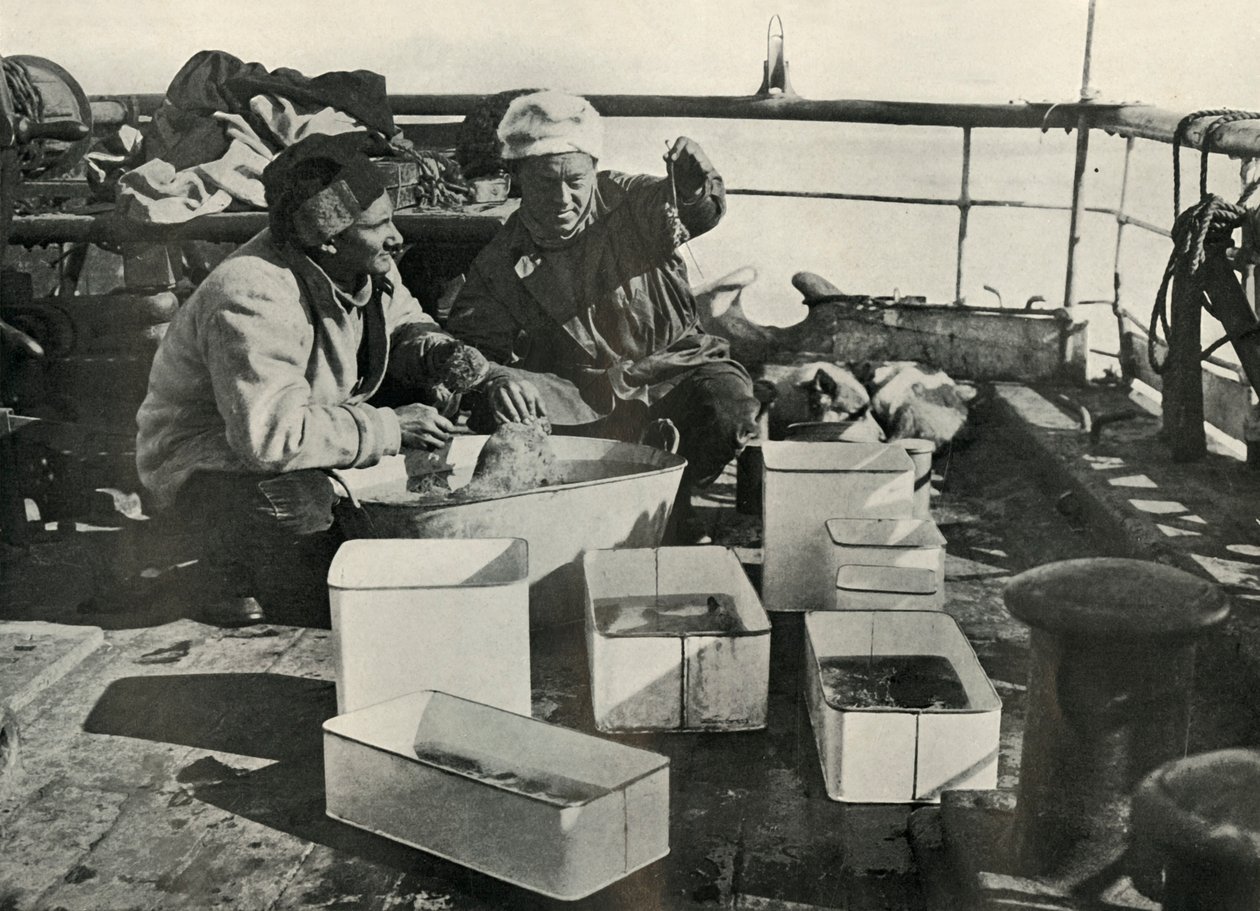 Lillie e Dr. Levick Classificação de uma captura de arrasto, c19101913, 1913 de Herbert Ponting