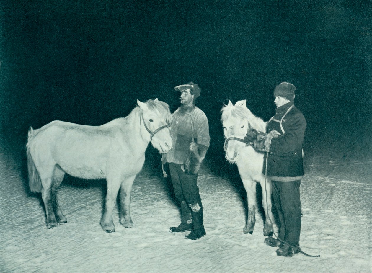Oficiais mesquinhos Crean e Evans exercitando seus pôneis no inverno, 1911, 1913 de Herbert Ponting