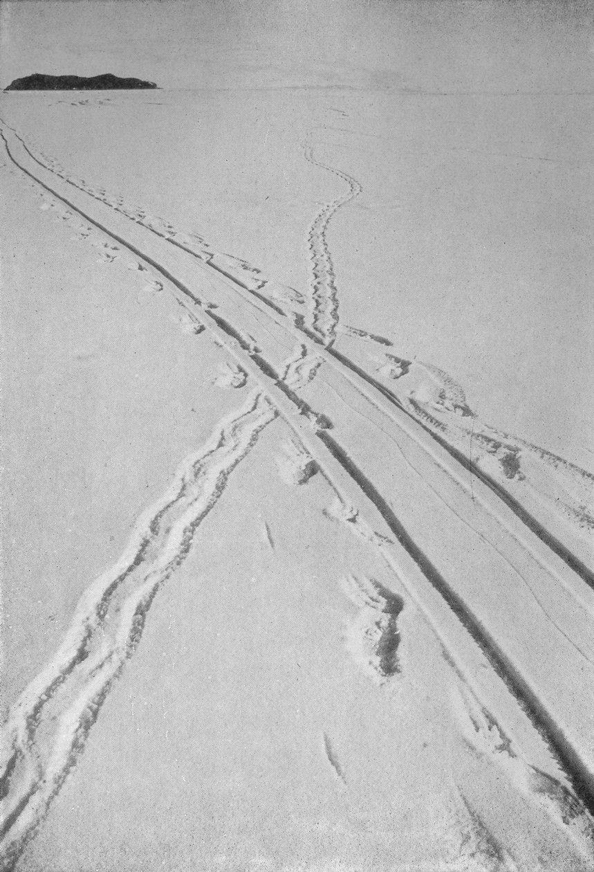 Trenó de Trenós Cruzando uma Trilha dos Pinguins de Adélie, 8 de dezembro de 1911, 1913 de Herbert Ponting