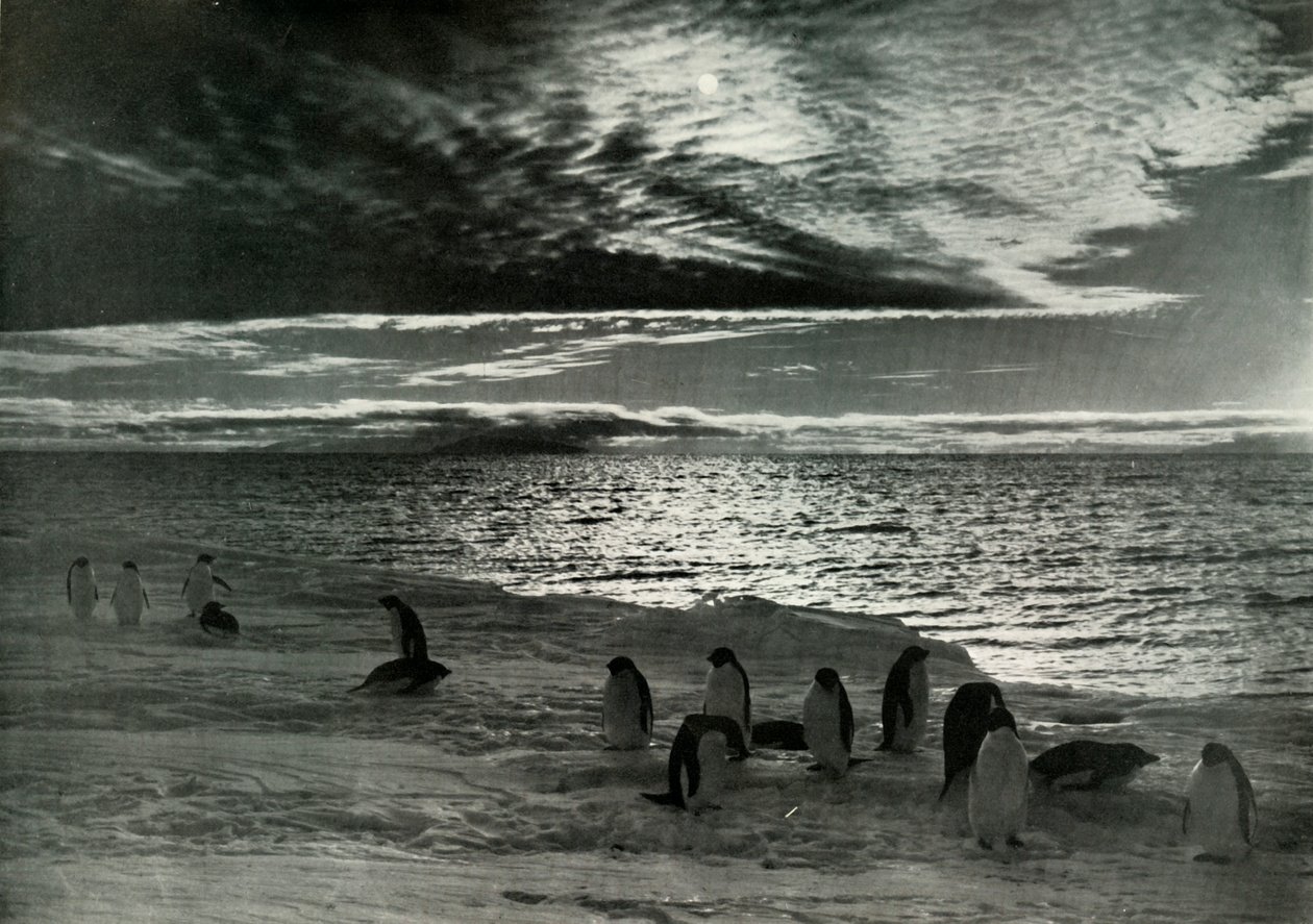 O sol da meia-noite em McMurdo Sound, c19101913, 1913 de Herbert Ponting