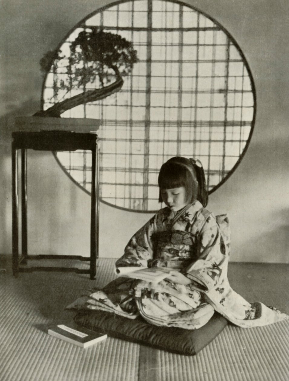 The Picture-Book, 1910. de Herbert Ponting