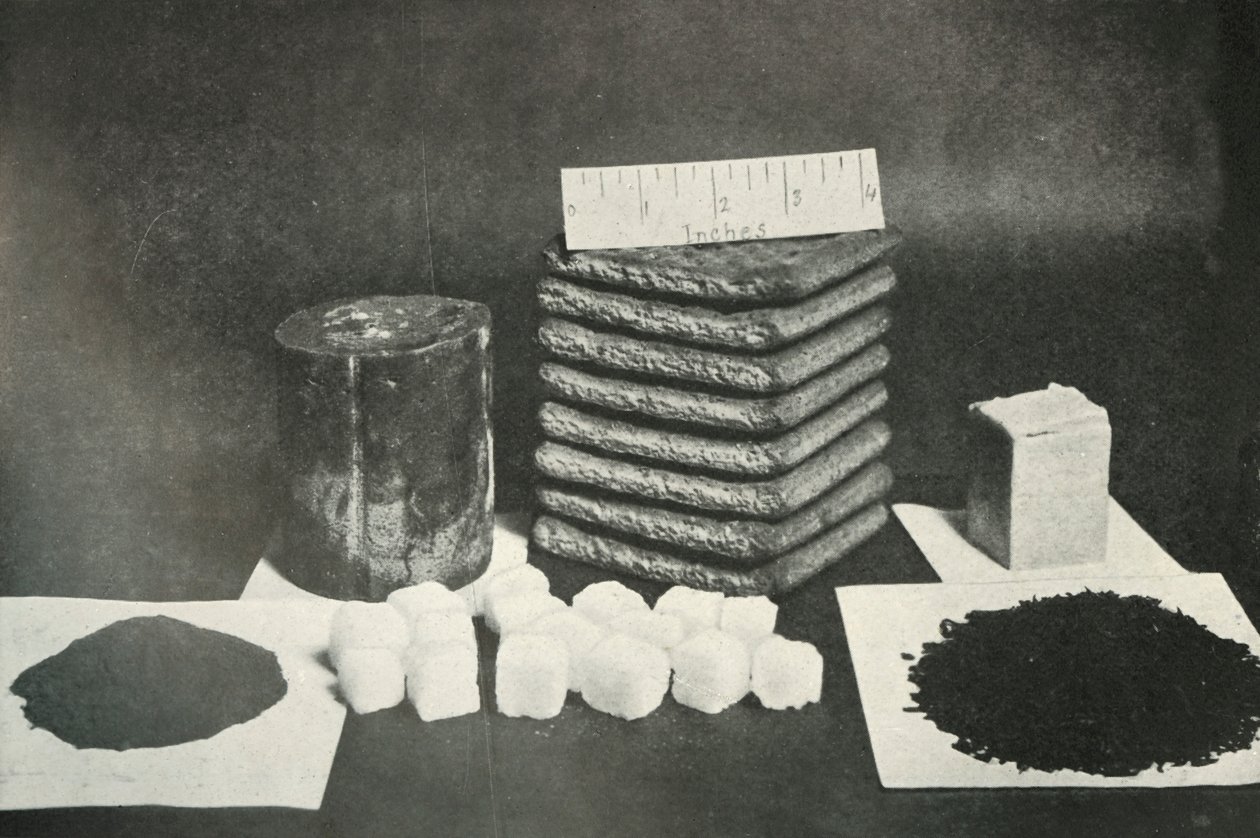 The Polar Partys Sledging Ration Pemmican, biscoitos, manteiga, cacau, açúcar e chá, 1911, 1913 de Herbert Ponting