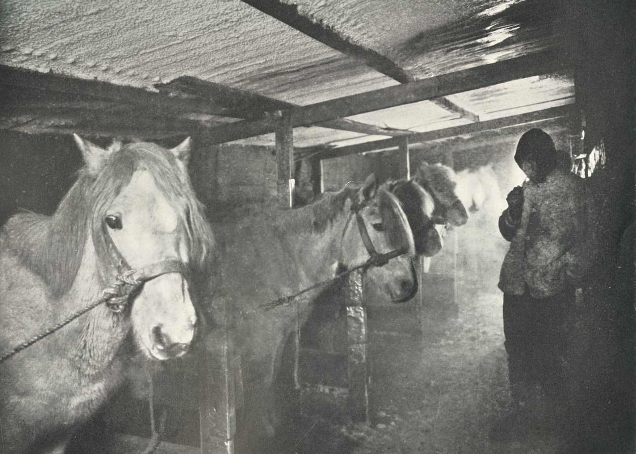 Os estábulos no inverno, c19101911, 1913 de Herbert Ponting