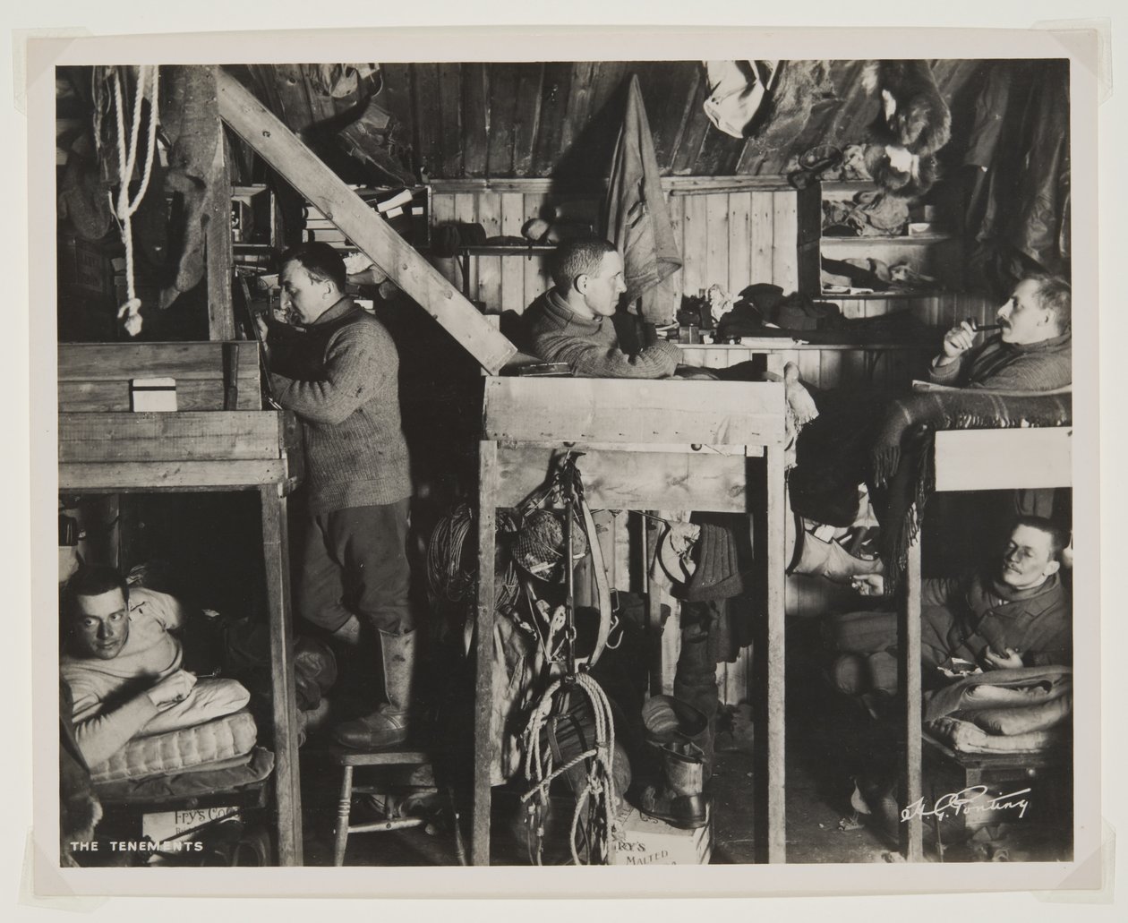 Os cortiços durante a expedição Terra Nova (1910-13) ao Pólo Sul (impressão de brometo) de Herbert Ponting