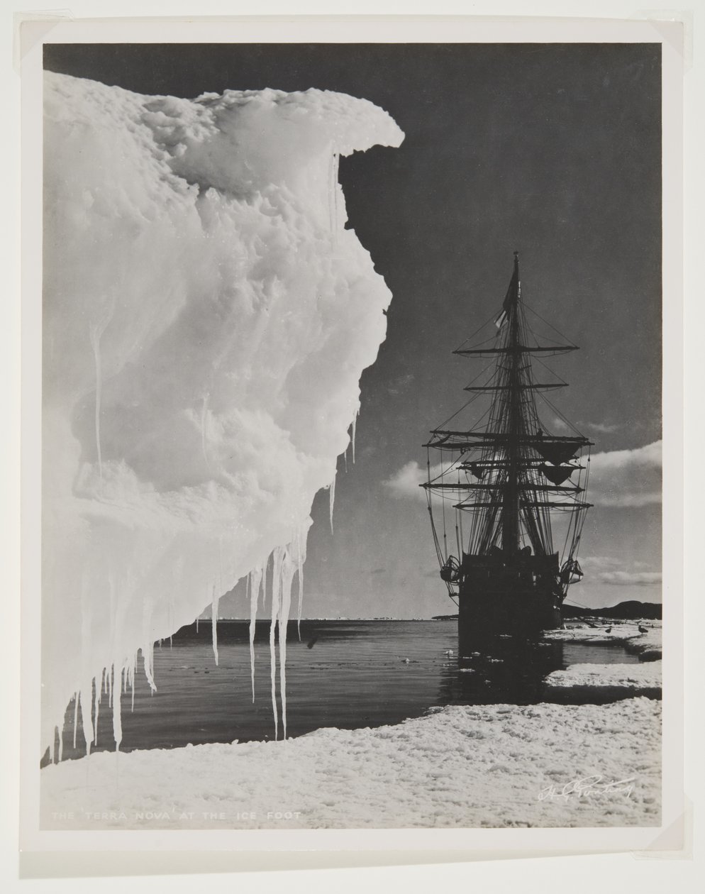 A Terra Nova no Ice Foot (impressão de brometo) de Herbert Ponting