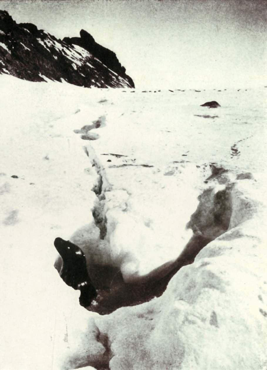 A maré-rachadura em Razorback Island, 1911, 1913 de Herbert Ponting