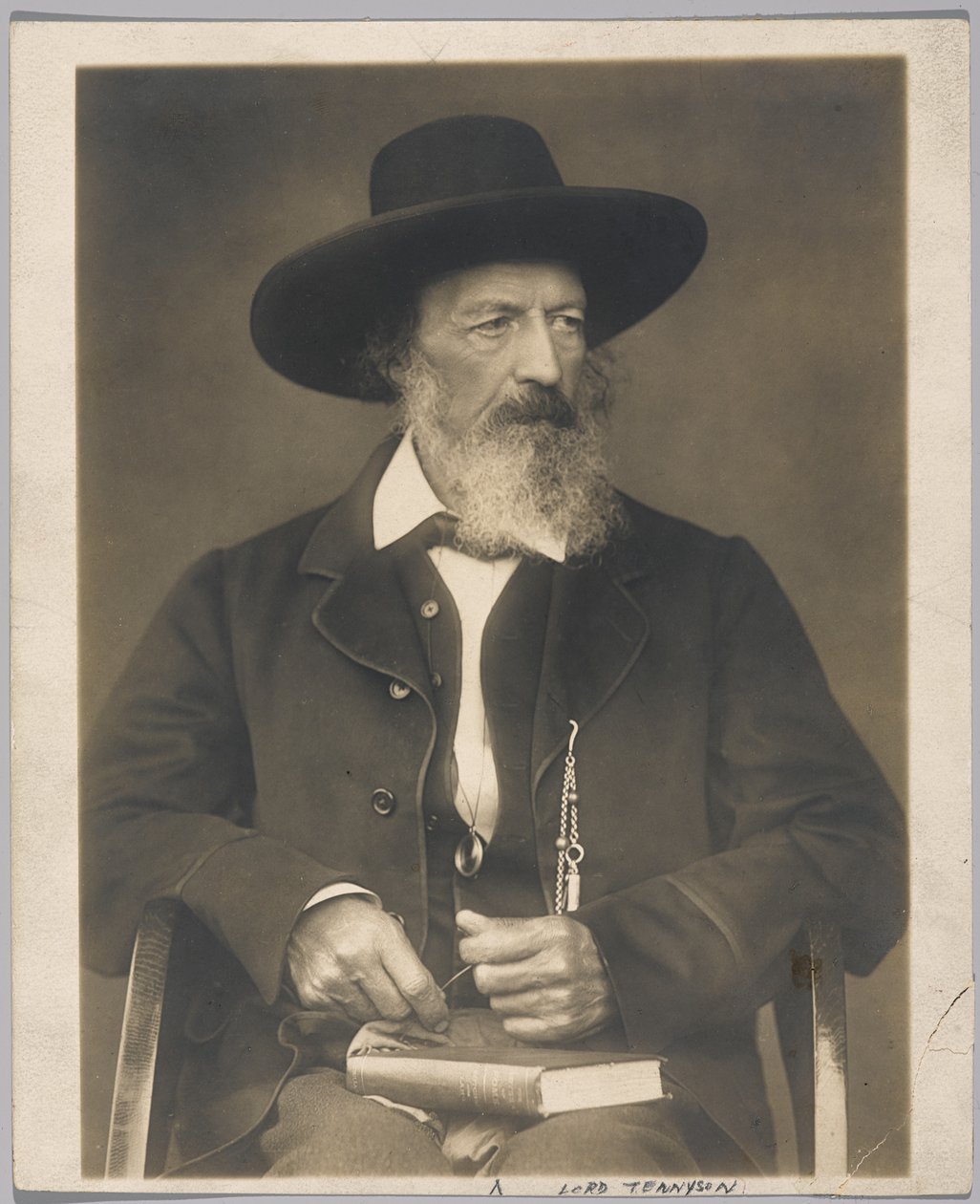 Lord Tennyson (foto gelatina prateada) de Herbert Rose Barraud