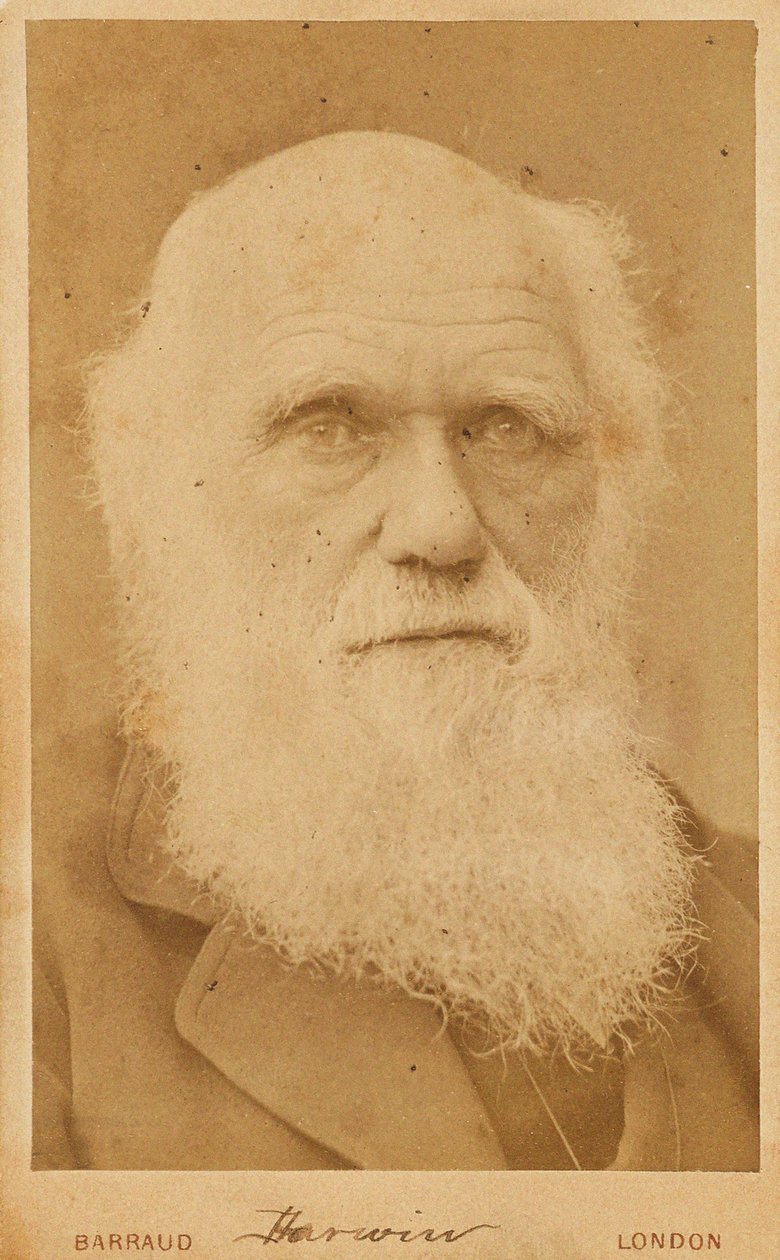 Retrato de Charles Darwin 1809-1882, 1881. de Herbert Rose Barraud