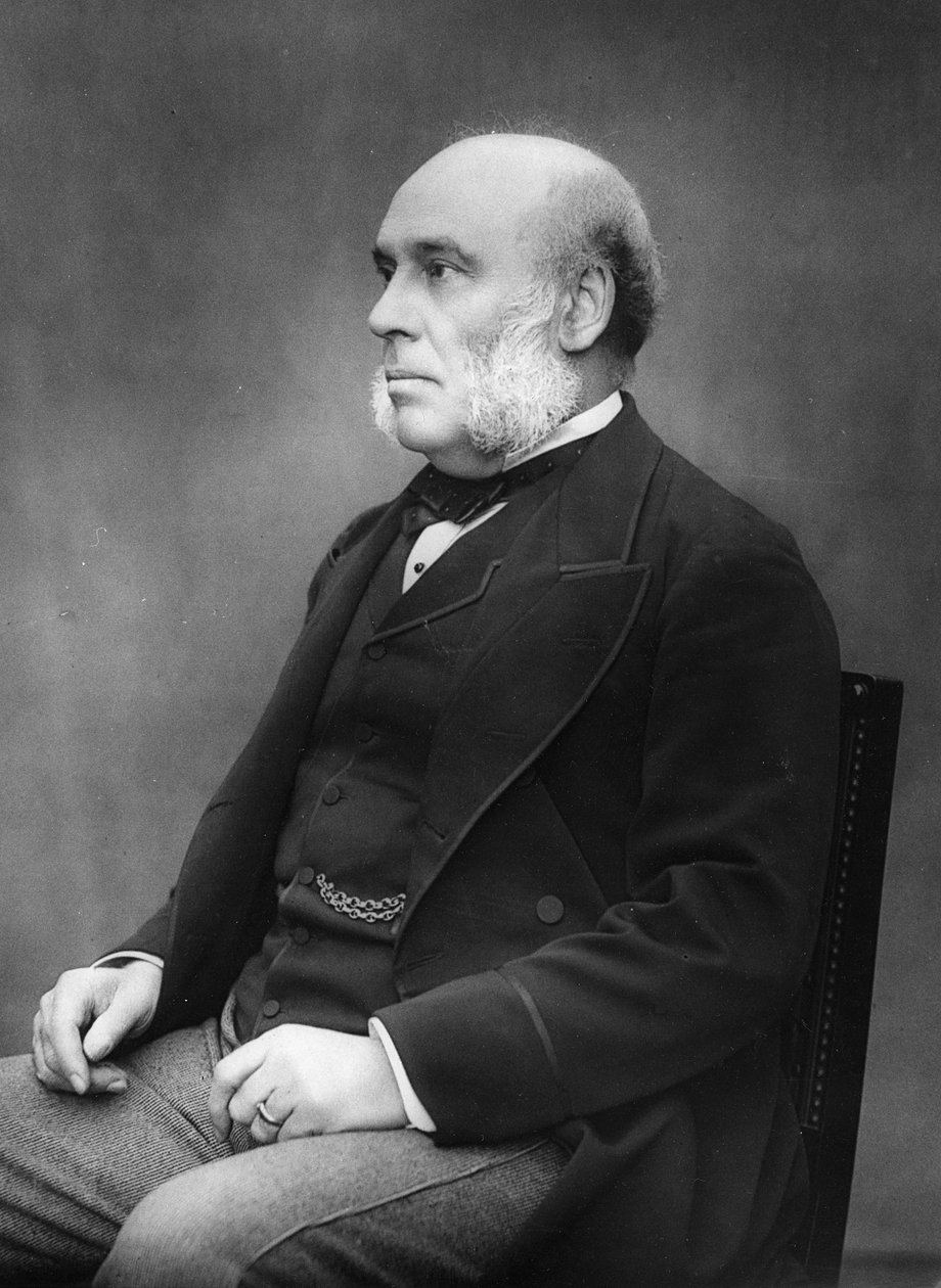 WH Smith, 1880 de Herbert Rose Barraud