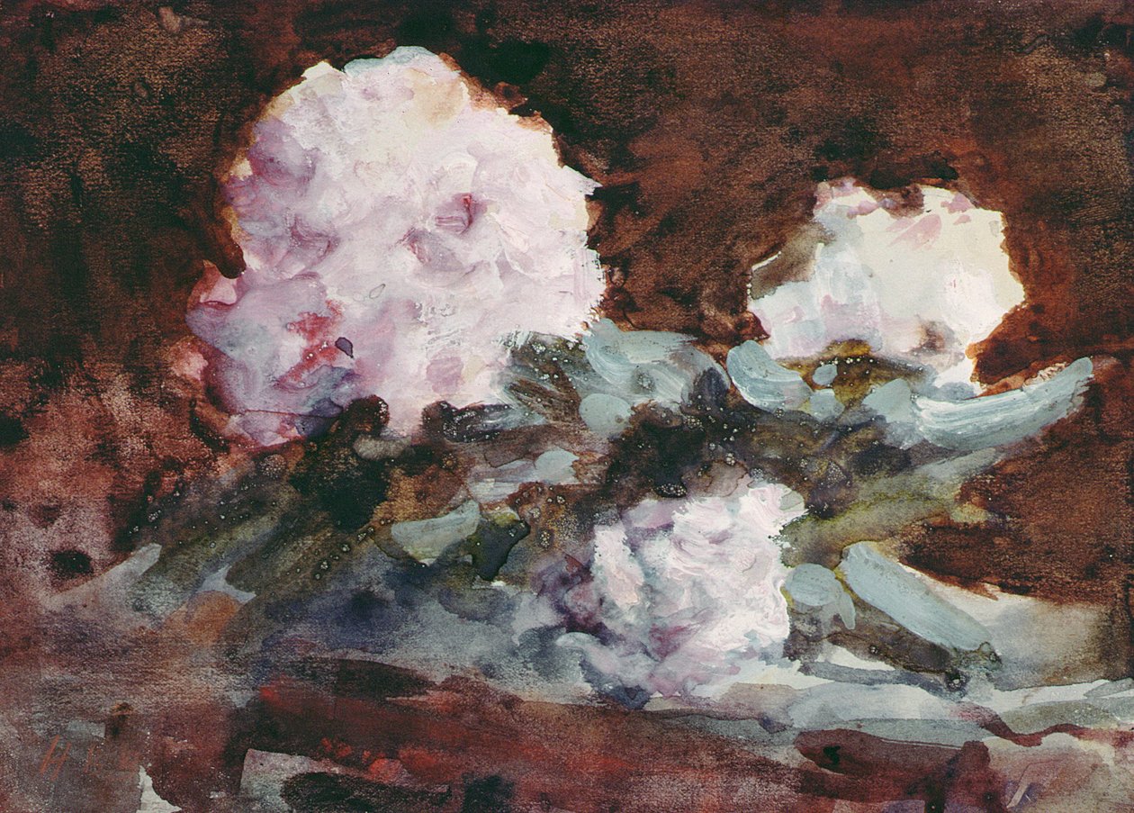 Rododendros (aquarela) de Hercules Brabazon Brabazon