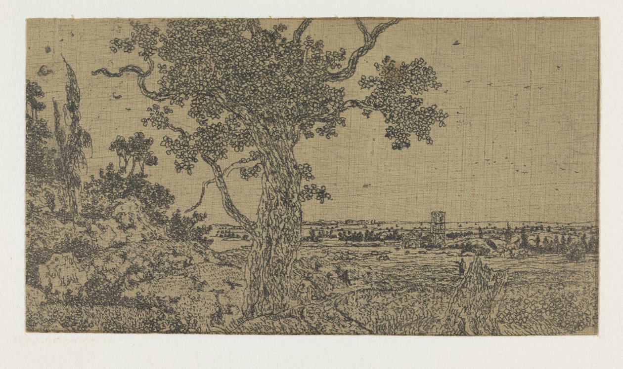 Paisagem com um carvalho e uma vista distante de Hercules Segers