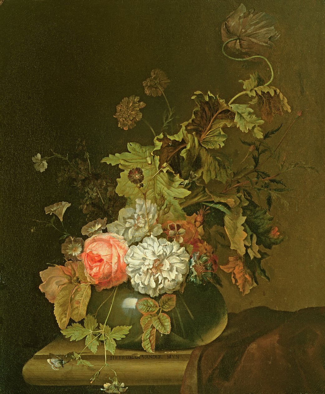 Estudo da flor de Herman van der Myn