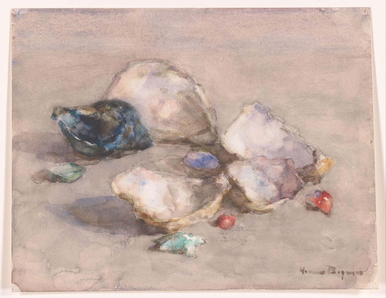 Conchas na praia de Herman Bogman (signed by artist)
