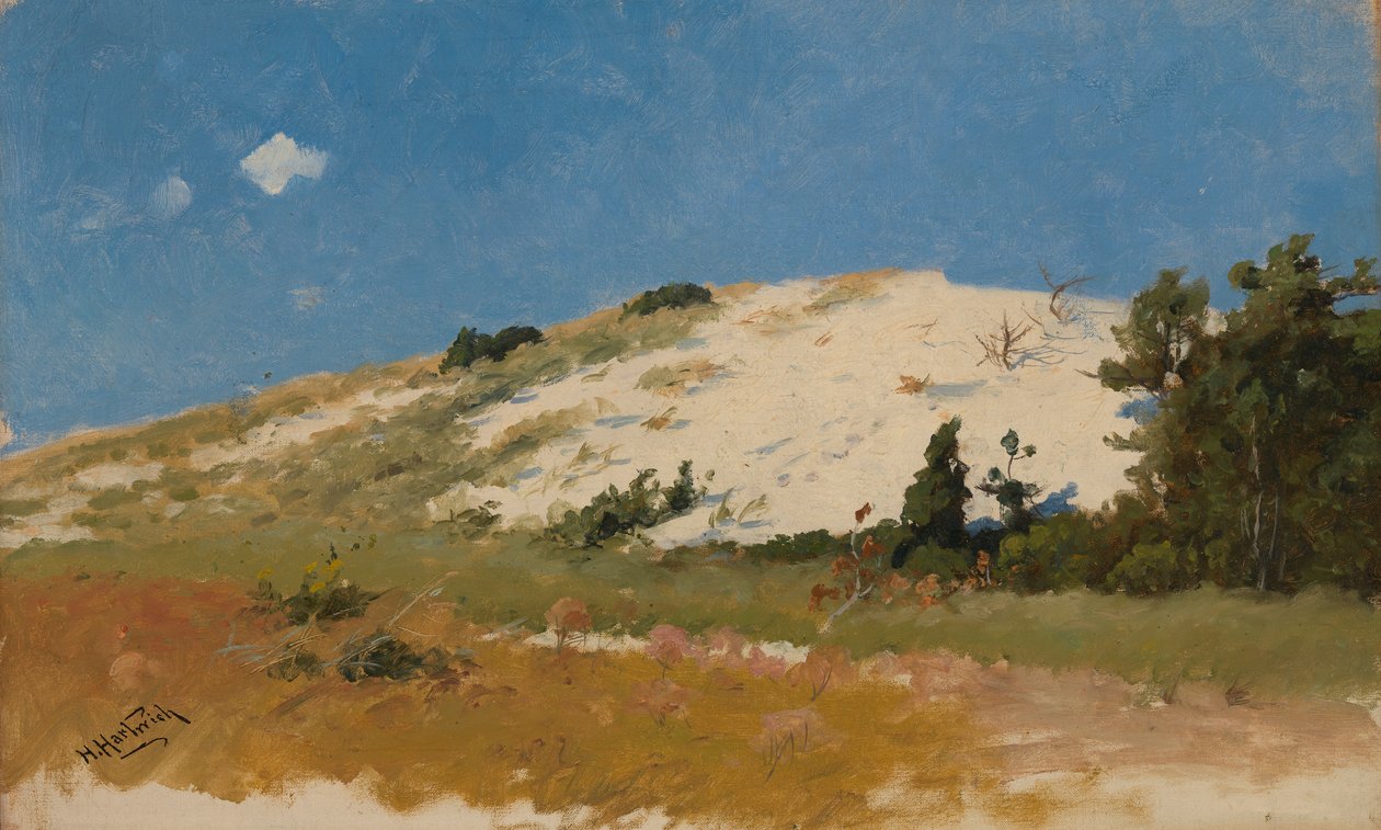Cape Cod, Duna de Areia, 1894. de Herman Hartwich