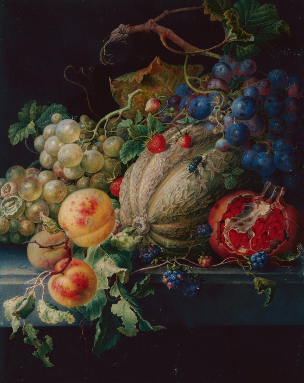 Fruit Still Life on a Stone Ledge (chumbo preto, aquarela e bodycolour em velino) de Herman Henstenburgh