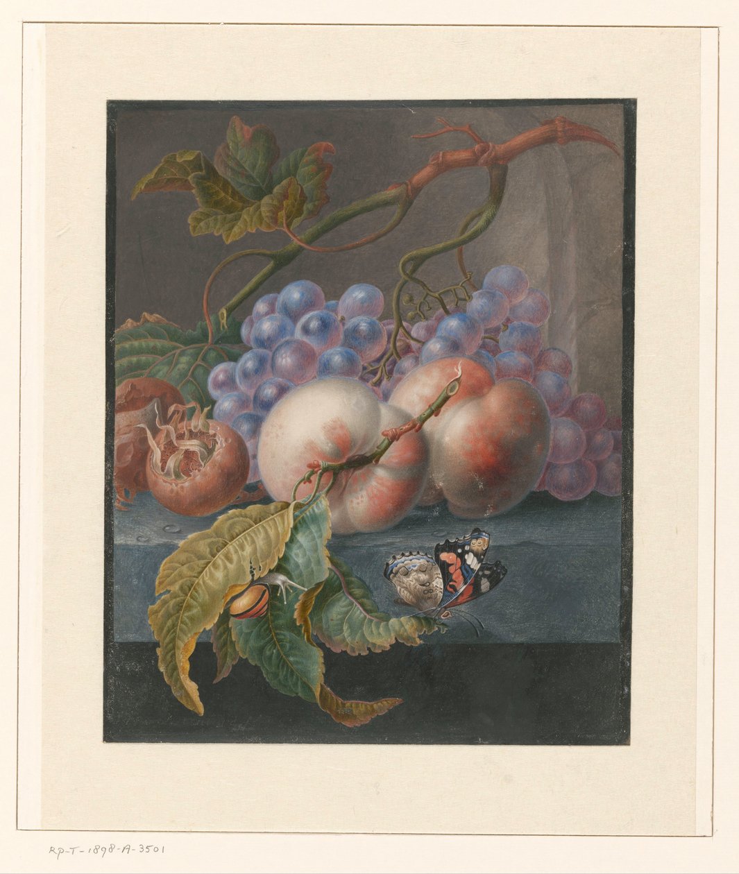 Frutas com uma borboleta e um caracol de Herman Henstenburgh