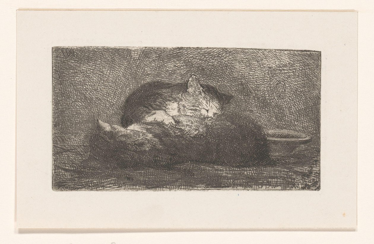 Dois gatos de Herman Johannes van der Weele