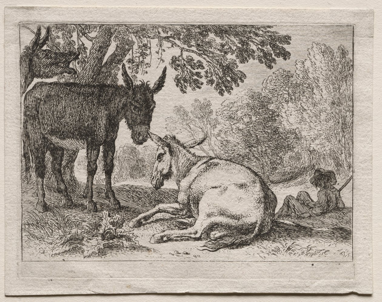 Animais em Paisagens: Burros de Herman van Swanevelt