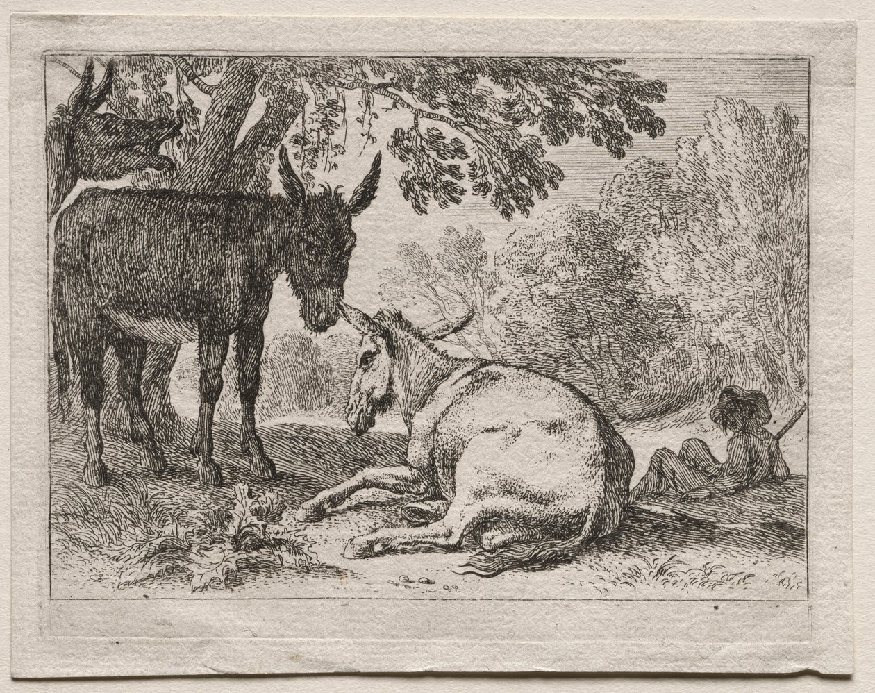 Burros. de Herman van Swanevelt