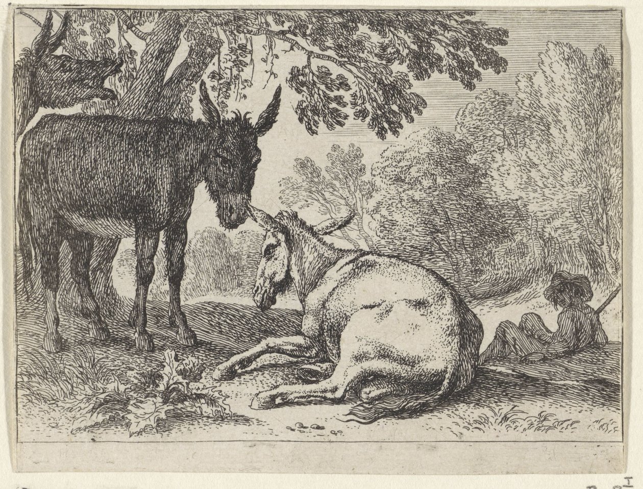 Burros
Paisagens com animais (título da série) de Herman van Swanevelt
