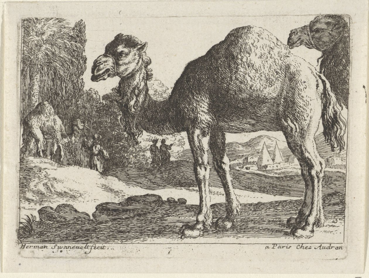 camelos Paisagens com animais (título da série) de Herman van Swanevelt