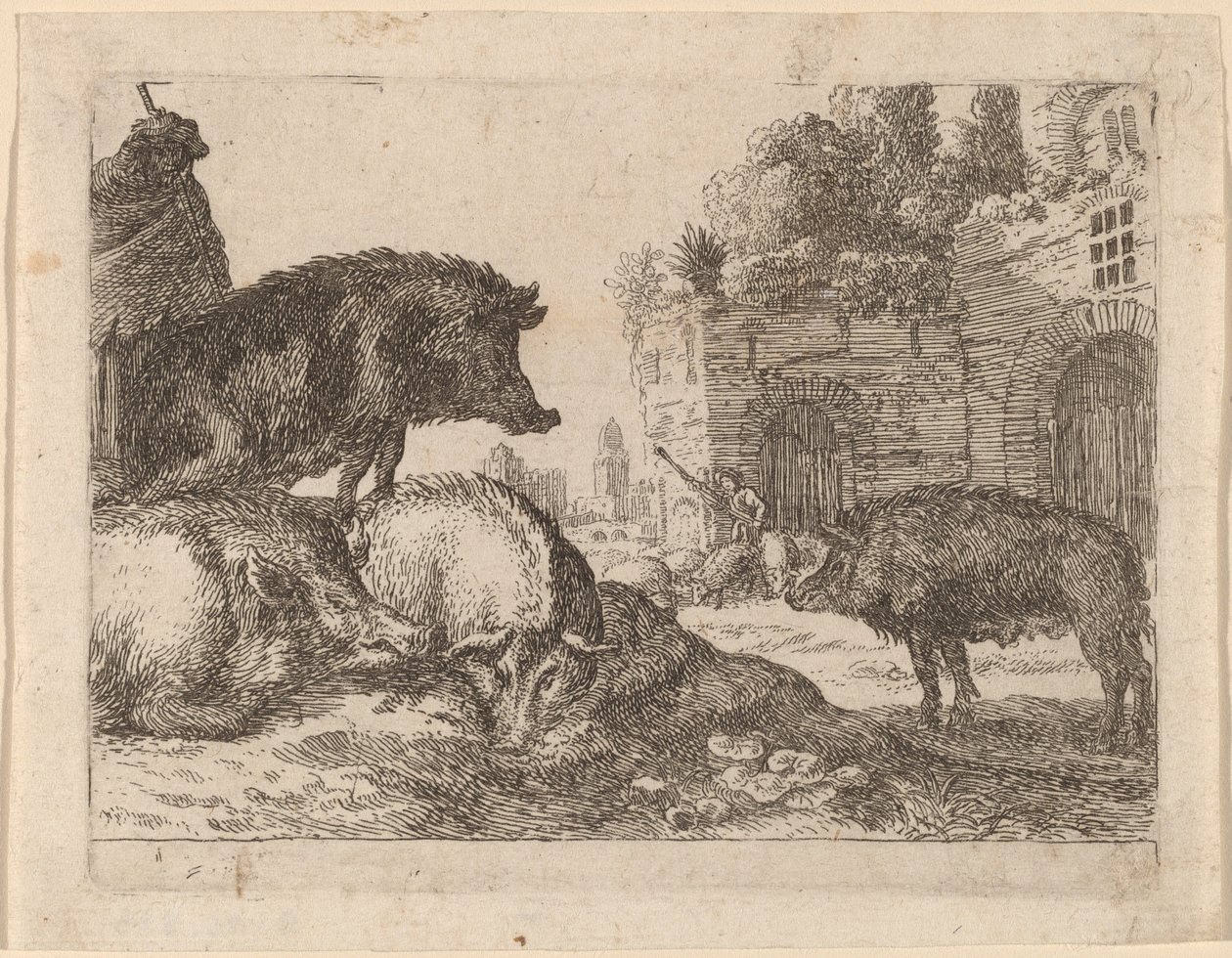 Porcas de Herman van Swanevelt