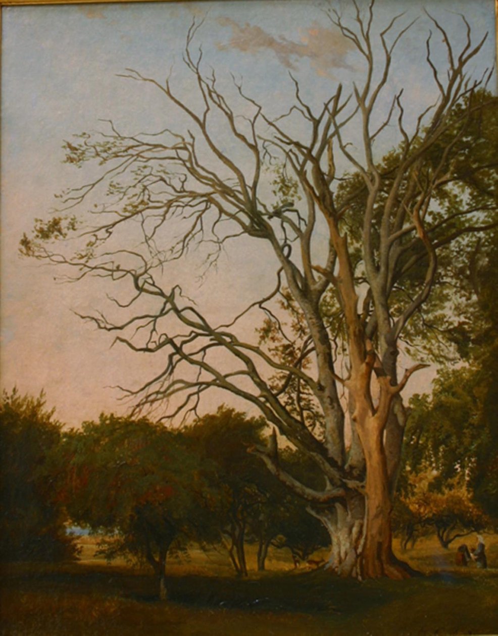 Cena da floresta com uma árvore morta de Hermann Carmiencke