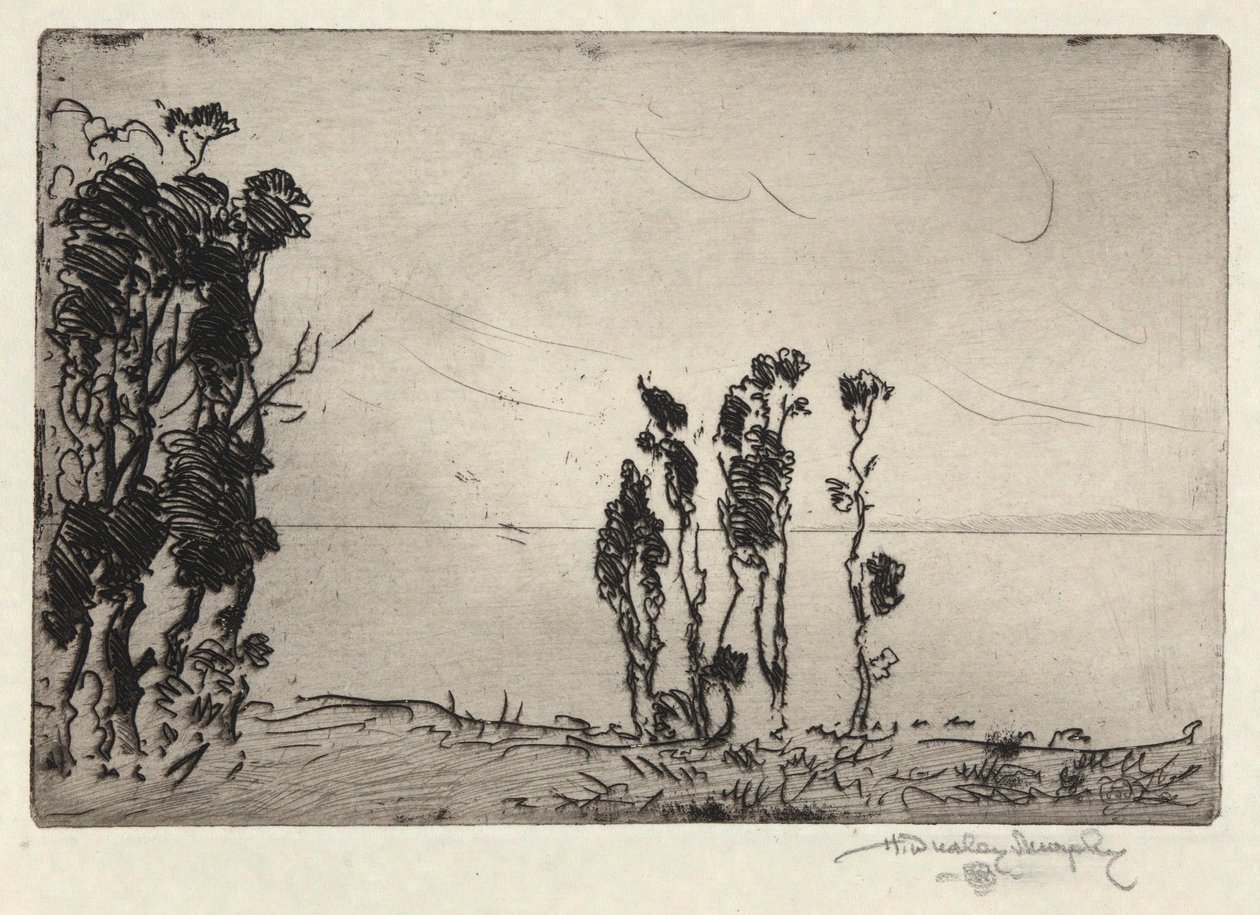 Paisagem costeira de Hermann Dudley Murphy