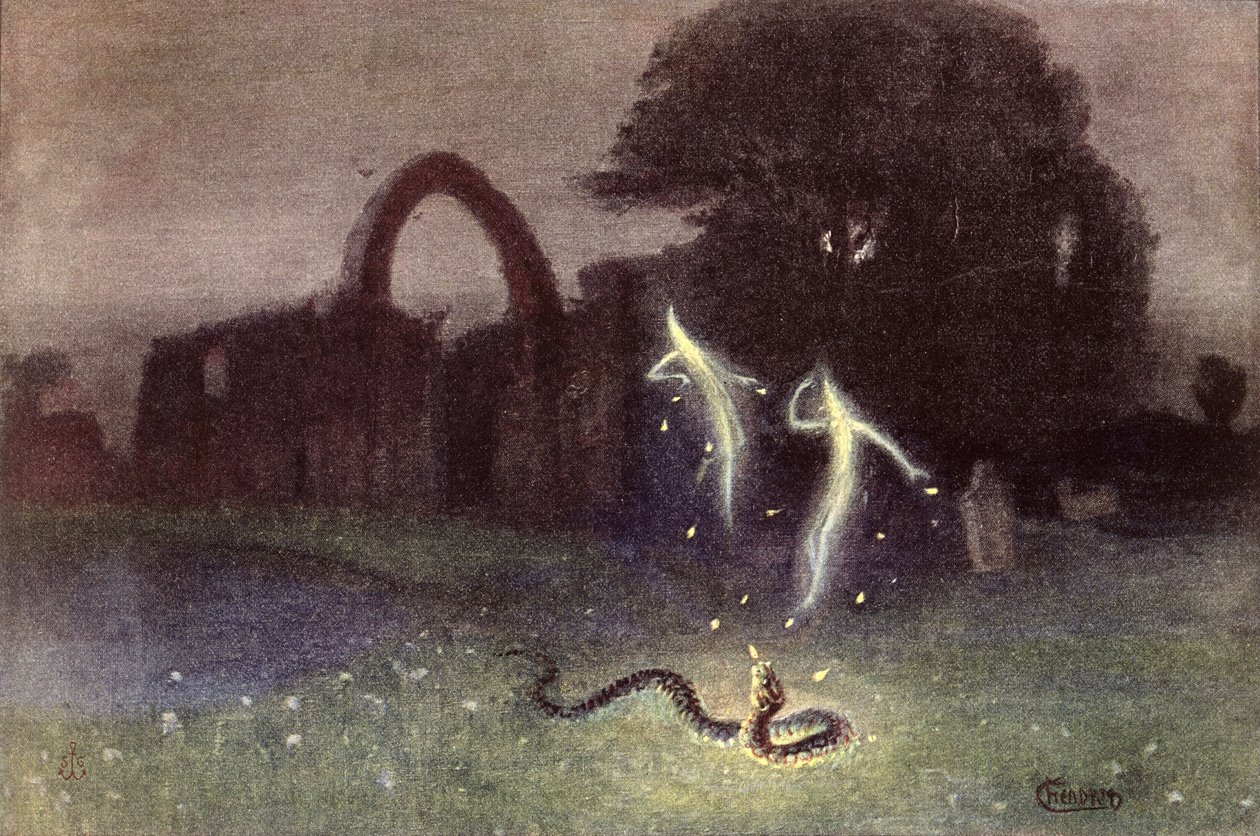 Will-o&39;-the-wisp e cobra de Hermann Hendrich