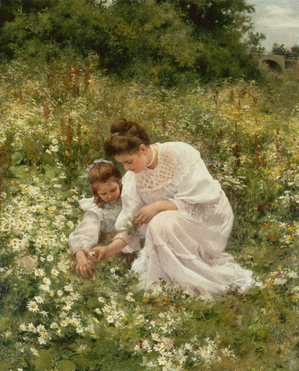 Margaridas de colheita de Hermann Seeger