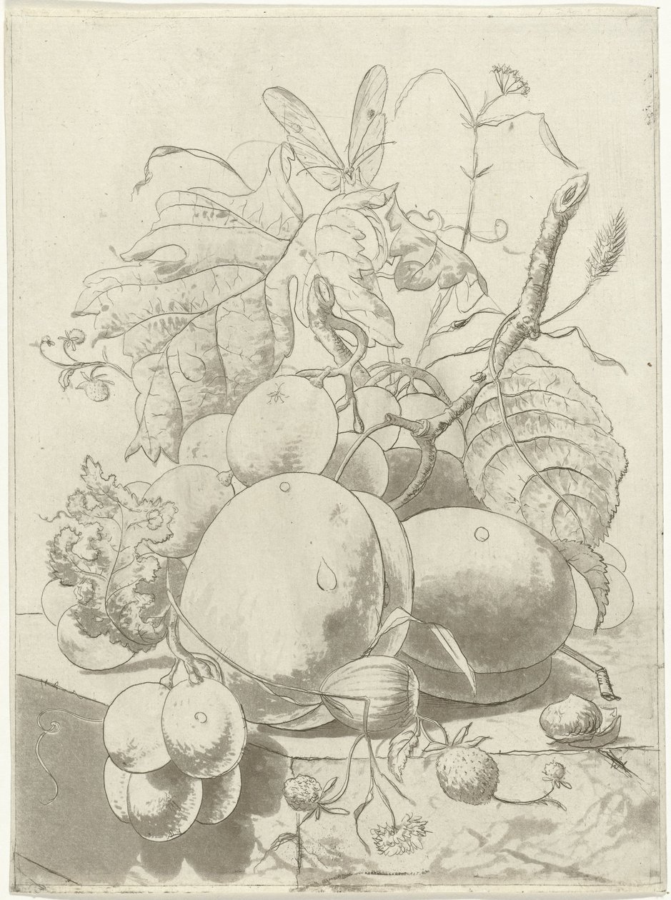 Fruta e um ramo com uma borboleta de Hermanus Fock