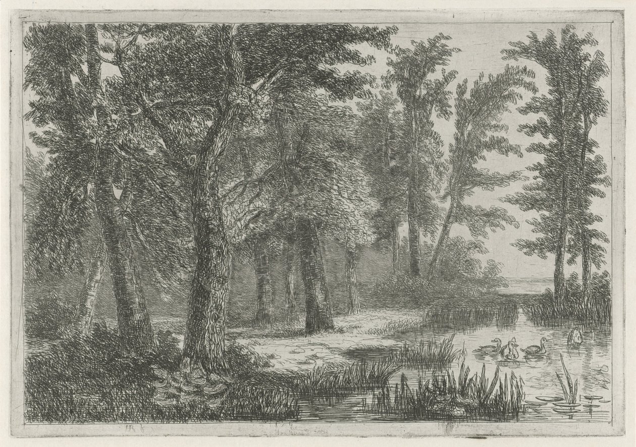 Vista da floresta com um fen com patos de Hermanus Jan Hendrik van Rijkelijkhuysen