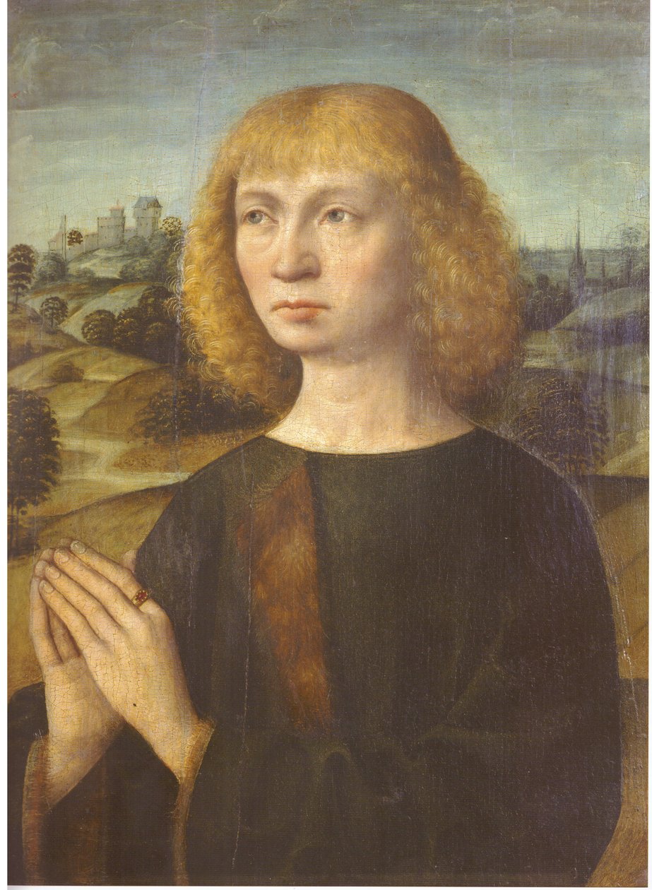 Retrato de um jovem de Hermen Rode