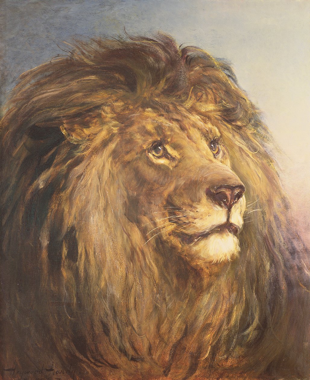 Cabeça de um leão de Heywood Hardy