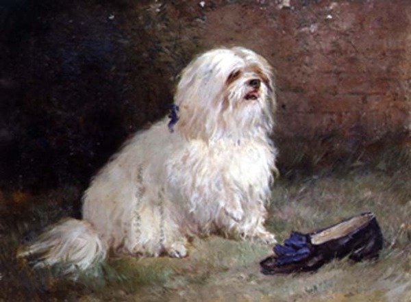 Um terrier maltês de Heywood Hardy