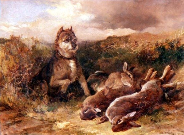 Um West Country Terrier com Jogo de Heywood Hardy