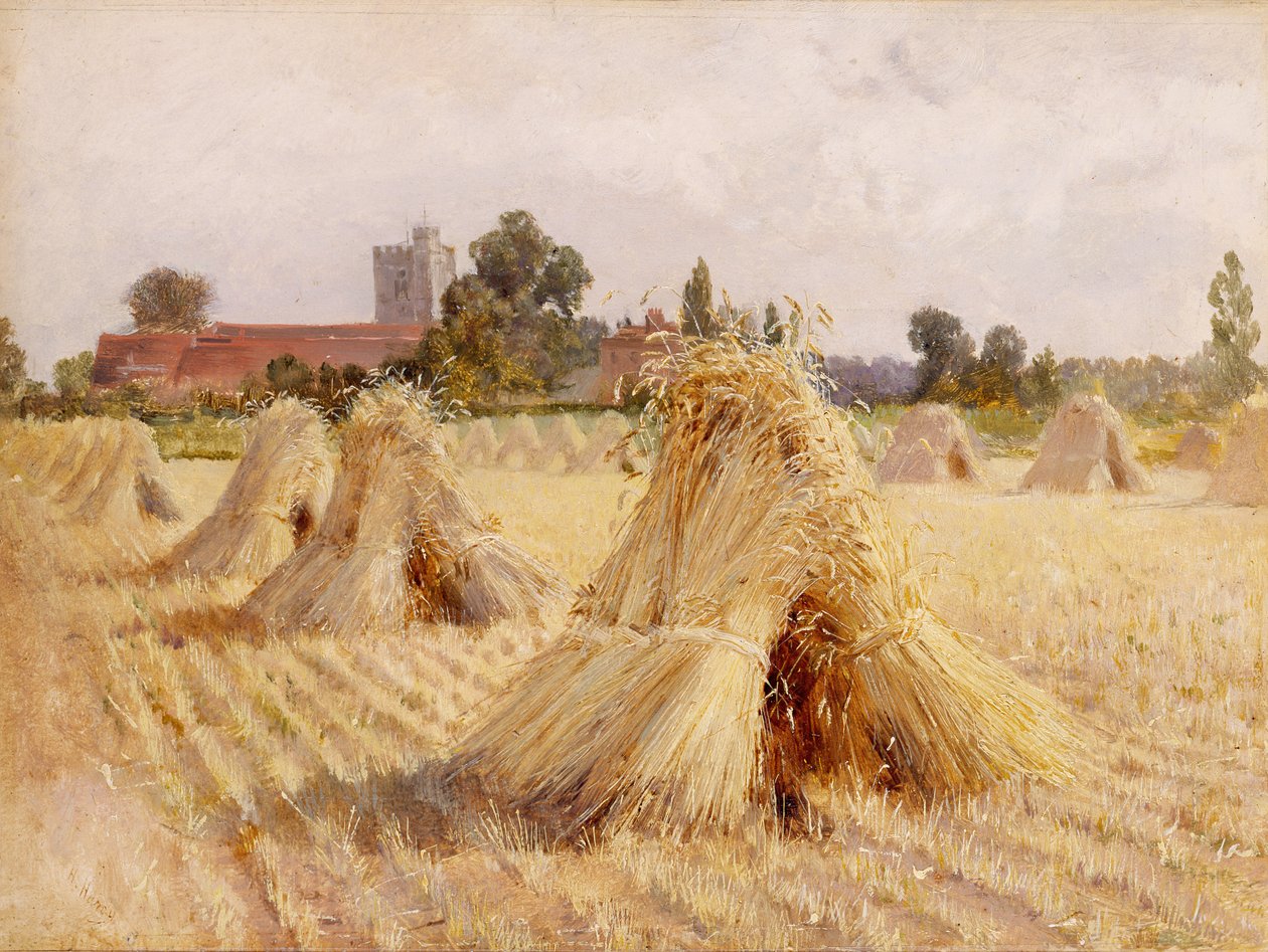 Corn Stooks by Bray Church, 1872 (óleo sobre papel colocado a bordo) de Heywood Hardy